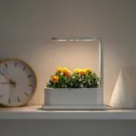 Plant Desktop Grow Box