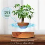 Levitating Air Bonsai Pot For Plants