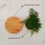 Levitating Air Bonsai Pot For Plants