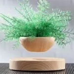 Levitating Air Bonsai Pot For Plants 8