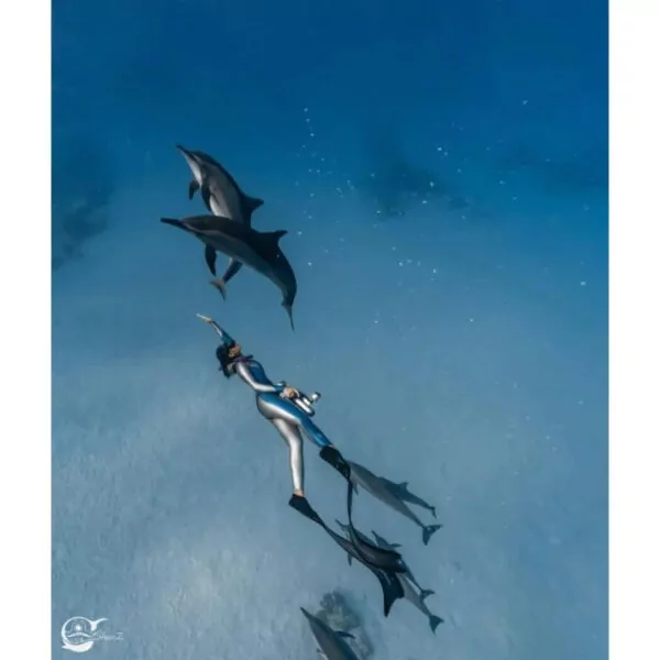 سكوتر ZTDive JETDIVE تحت الماء 5